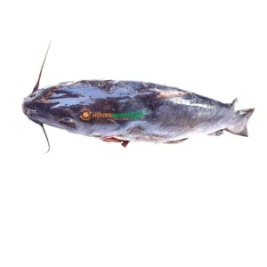 Eja Obokun silver catfish  1piece